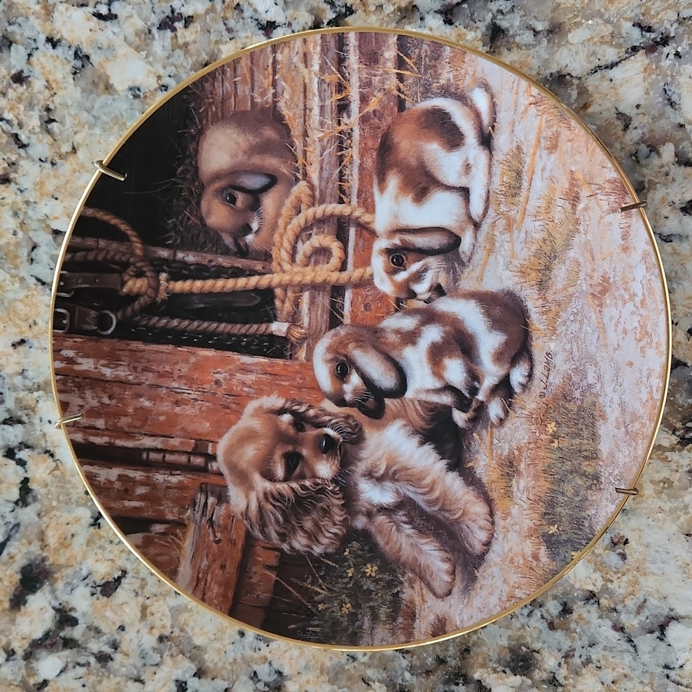 Mistaken Identity Collectors Plate By Jim Lamb